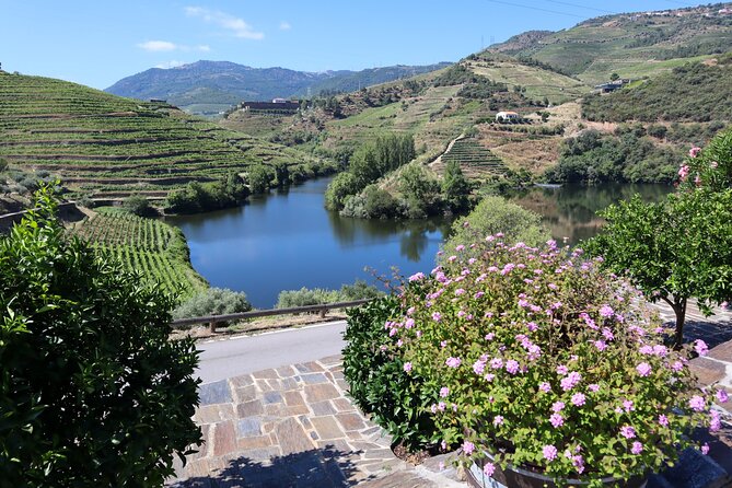 Authentic Small Group Douro Wine Tour with Lunch & River Cruise - Group Size, Comfort, and Practical Limits