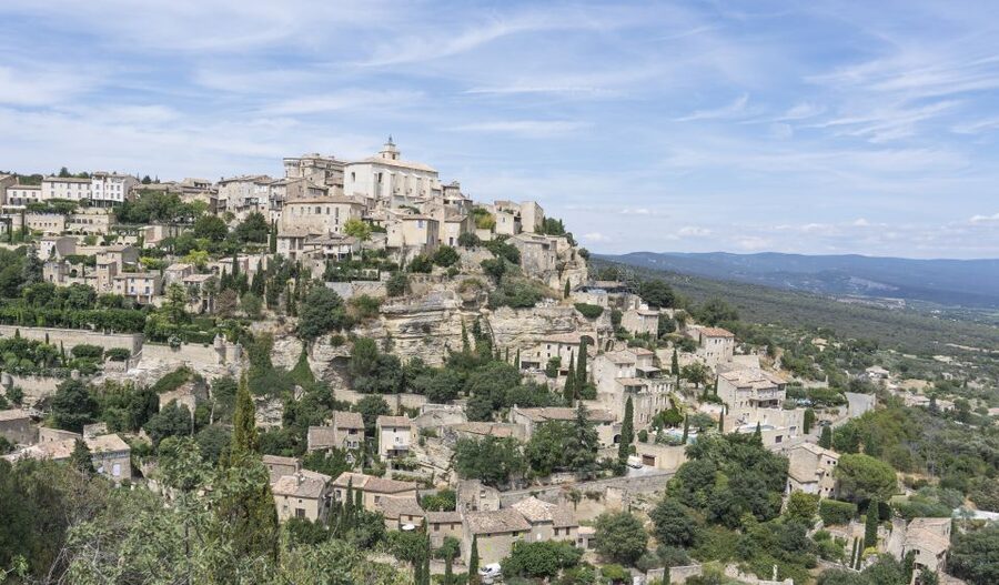 Avignon: Full-Day Châteauneuf du Pape Wines & Luberon Tour - What this Provence day actually delivers