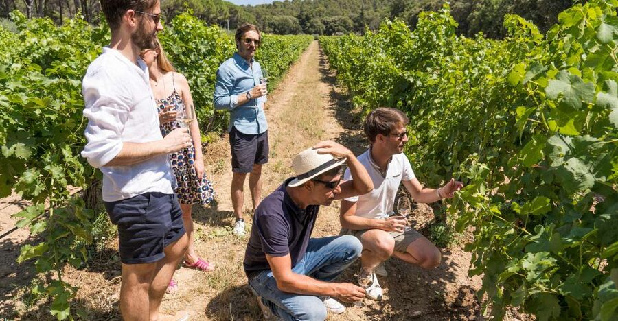 Avignon: Full-Day Châteauneuf du Pape Wines & Luberon Tour - Gordes, the final major stop