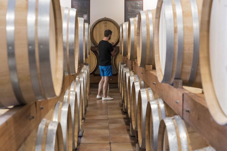 Avignon: Full-Day Châteauneuf du Pape Wines & Luberon Tour - Is $199 a fair price?