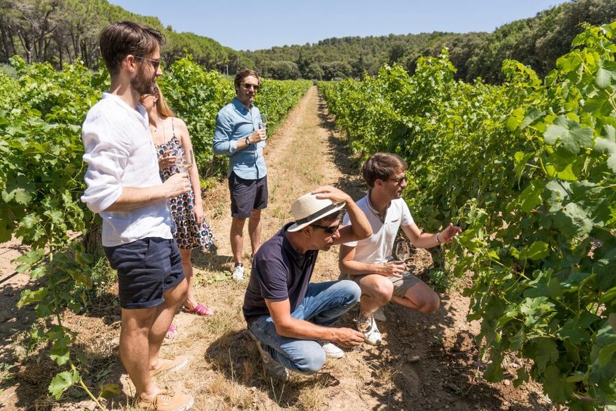 Avignon: Full-Day Châteauneuf du Pape Wines & Luberon Tour - Who should book this day?