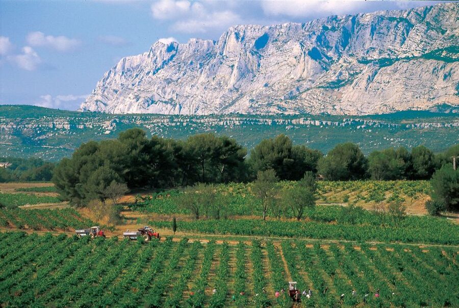 Avignon: Full-Day Wine Tour around Châteauneuf-du-Pape - Key points at a glance
