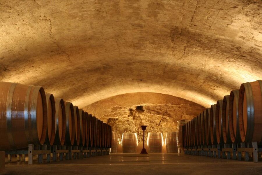 Avignon: Full-Day Wine Tour around Châteauneuf-du-Pape - Gigondas, Vacqueyras, and Séguret