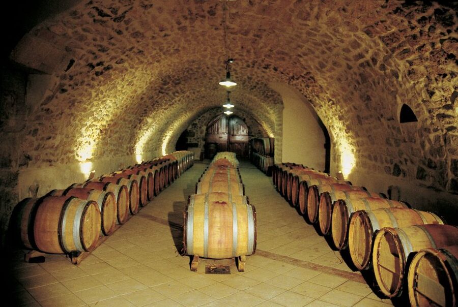 Avignon: Full-Day Wine Tour around Châteauneuf-du-Pape - What the guide contributes