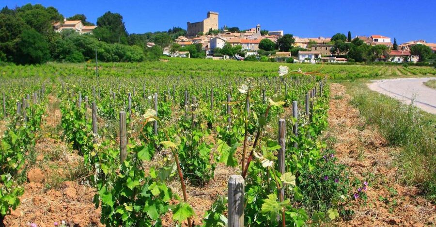 Avignon: Full-Day Wine Tour around Châteauneuf-du-Pape - Leaving Avignon for Châteauneuf-du-Pape
