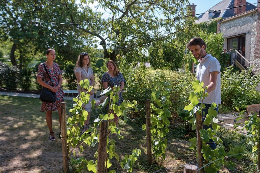 Aÿ-Champagne: Champagne House Tour and Tasting Class - How the Price Compares