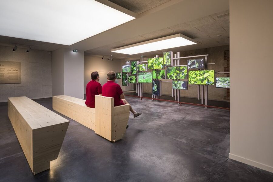 Aÿ-Champagne: Pressoria Champagne Museum with Tasting - Language, access, and practical comfort
