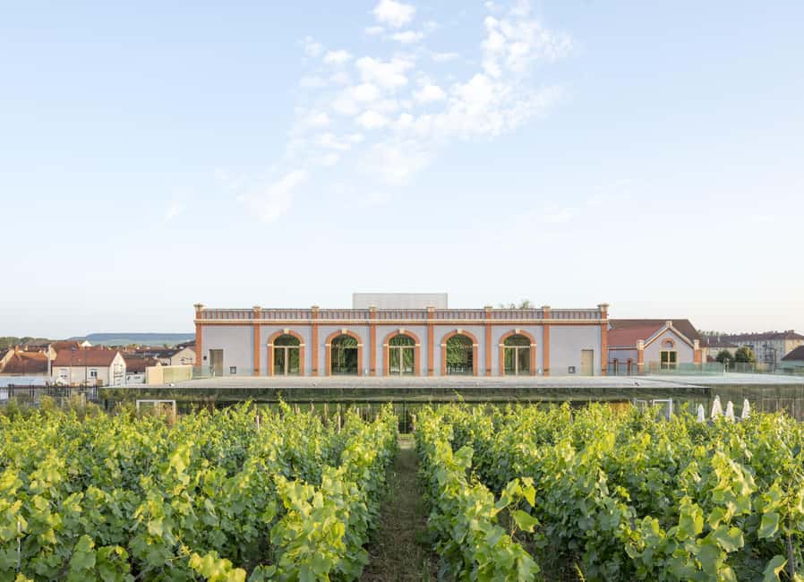 Aÿ-Champagne: Pressoria Champagne Museum with Tasting - Seeing how grapes become Champagne
