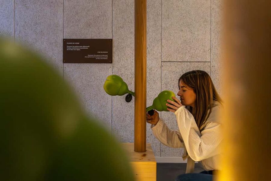Aÿ-Champagne: Pressoria Champagne Museum with Tasting - Starting with the soil beneath Aÿ-Champagne