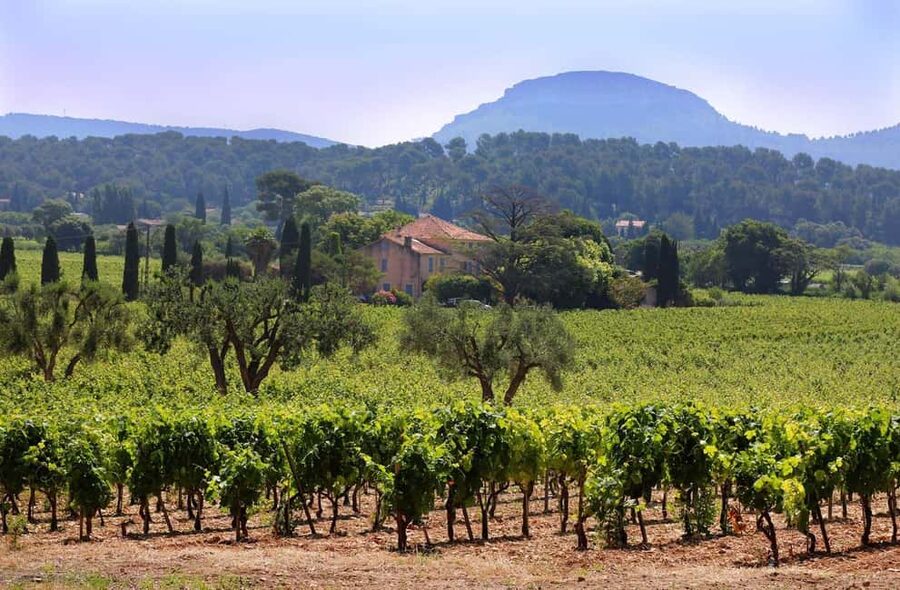 Bandol and Cassis: Full Day Wine Tour from Marseille - Free time in the port town of Cassis