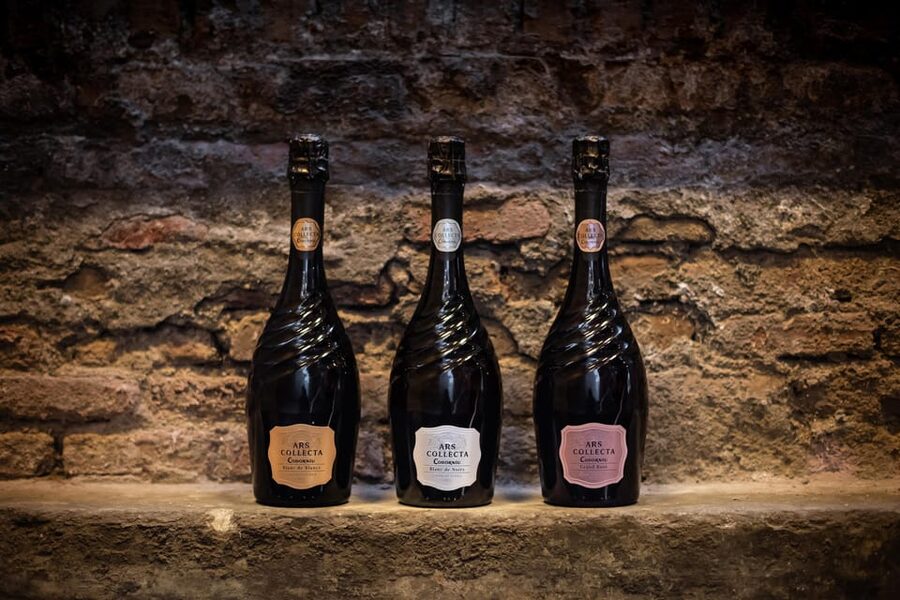 Barcelona: Casa Codorníu Guided Tour with Cava Tastings - How the guide affects the experience