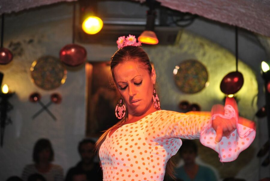 Barcelona: City Tour & Flamenco Show with Wine & Tapas - Flamenco at Palau Dalmases