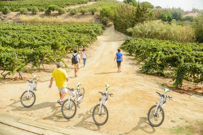 Barcelona eBike Beach Private Tour to Vineyards & Picnic - The picnic is pleasant, but do not expect a full meal