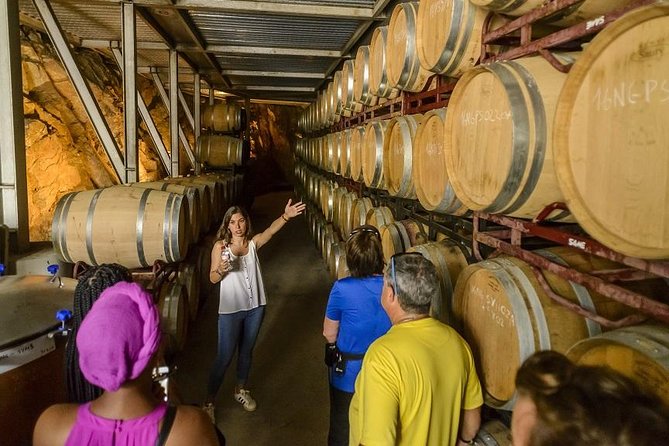 Barcelona eBike Beach Private Tour to Vineyards & Picnic - Returning by train saves energy and creates the day’s awkwardest moment