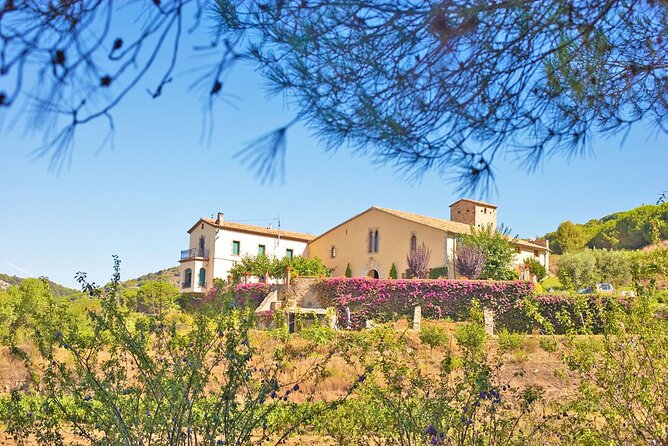 Barcelona eBike Beach Private Tour to Vineyards & Picnic - Is $302.33 a fair price?