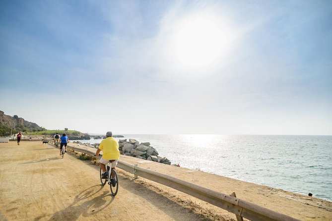 Barcelona eBike Beach Private Tour to Vineyards & Picnic - Who should book this Barcelona wine ride?