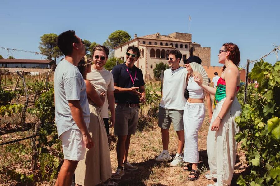 Barcelona: Full-Day Montserrat & Wine Small Group Tour - Transport, group size, and the rhythm of the day