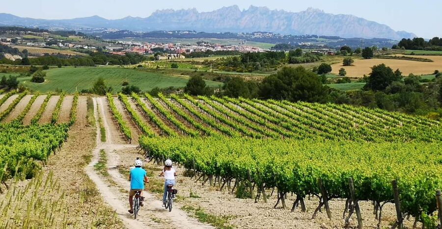 Barcelona: Guided Half-Day Wine and Electric Bike Tour - Leaving Barcelona for the Penedès vineyards