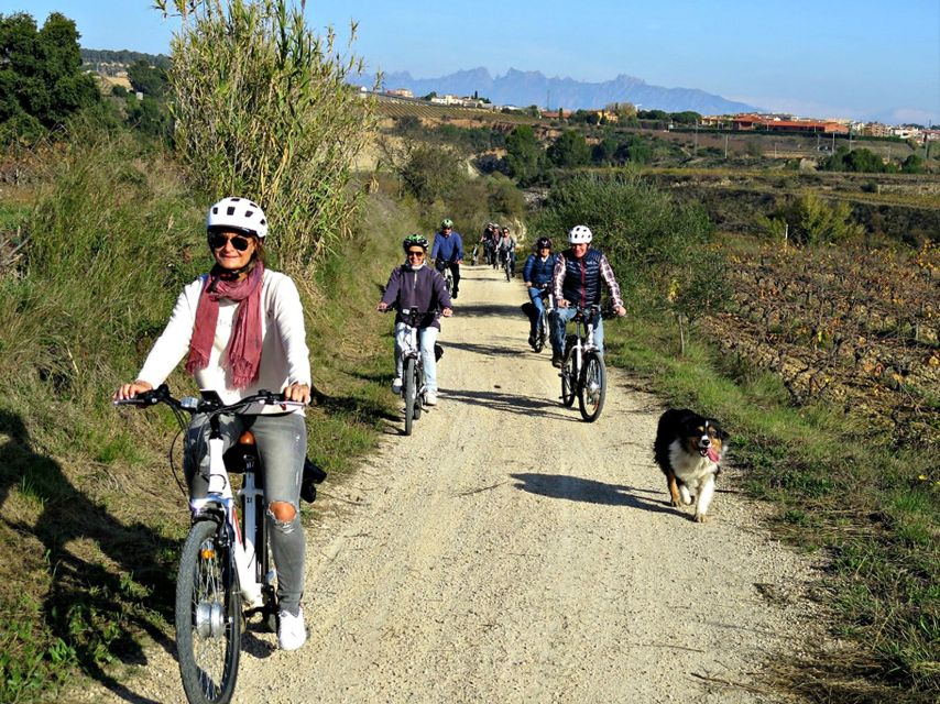 Barcelona: Guided Half-Day Wine and Electric Bike Tour - Riding among vineyards, forests, and winery lanes