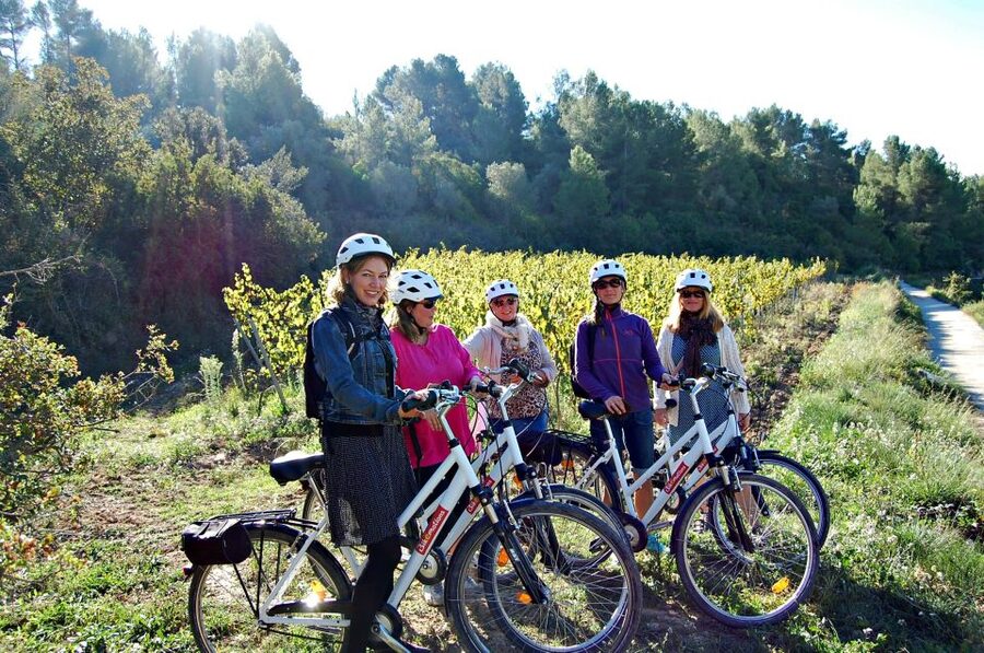 Barcelona: Guided Half-Day Wine and Electric Bike Tour - Inside a fourth-generation ecological winery
