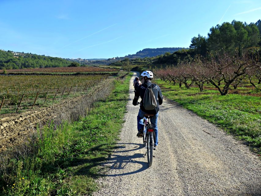 Barcelona: Guided Half-Day Wine and Electric Bike Tour - Three glasses of Penedès wine and cava