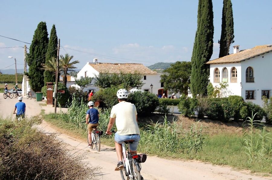Barcelona: Guided Half-Day Wine and Electric Bike Tour - What the $101 price really covers