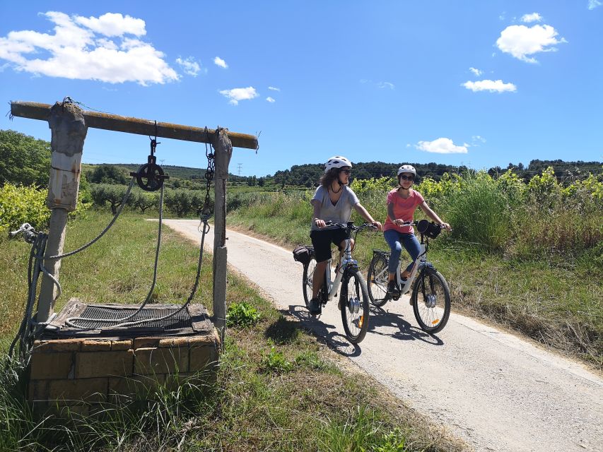 Barcelona: Guided Half-Day Wine and Electric Bike Tour - Who will enjoy this ride most