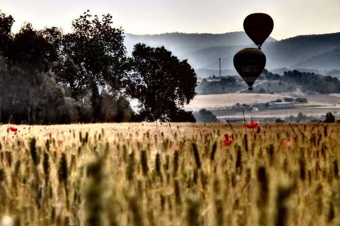 Barcelona: Montserrat Hot Air Balloon Ride with Champagne Toast - Photos, a certificate, and a simple celebration