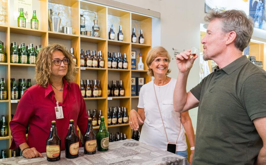 Barcelona: Montserrat, Winery Tour & Lunch with Wine Tasting - The group atmosphere and guide quality