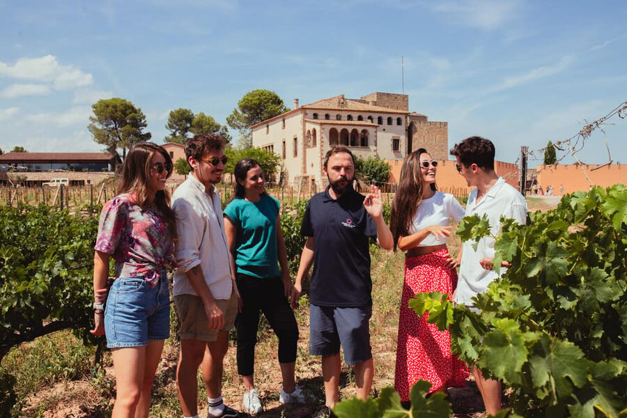Barcelona: Montserrat with Winery, Lunch, and Train Options - Who will enjoy this tour most?