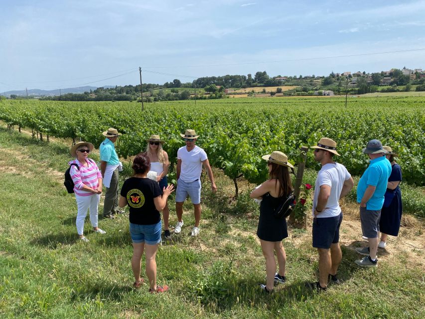 Barcelona: Montserrat with Winery Visit and Farmhouse Lunch - Timing, comfort, and the $147 price