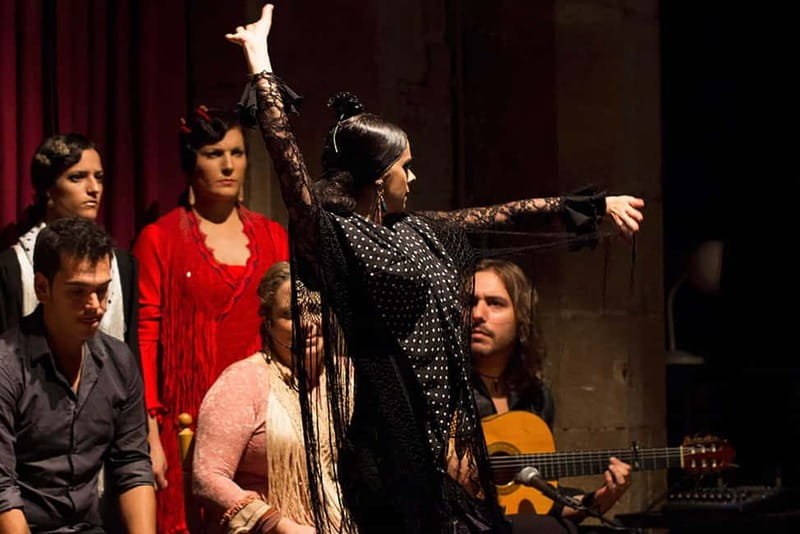 Barcelona: Private Tapas & Wine with Flamenco Show Old Town - What $283 Per Person Gets You