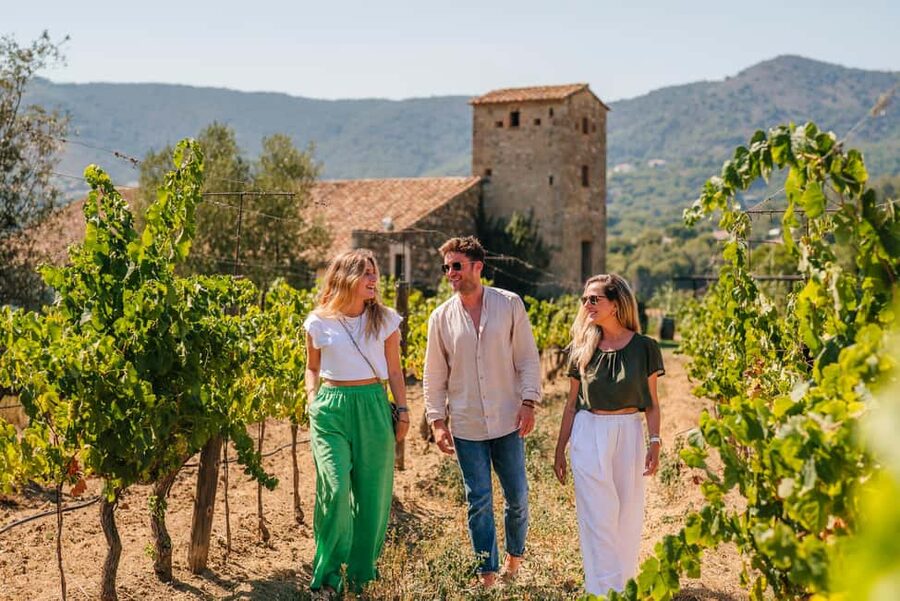 Barcelona: Sailing Cruise & Vineyard Tour with Wine Tasting - Who will enjoy this half-day outing?