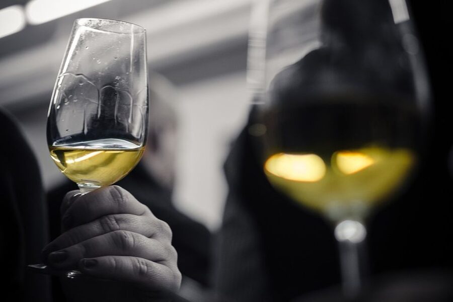 Barcelona Wine Tasting: Catalan and Spanish Wines - Key points at a glance