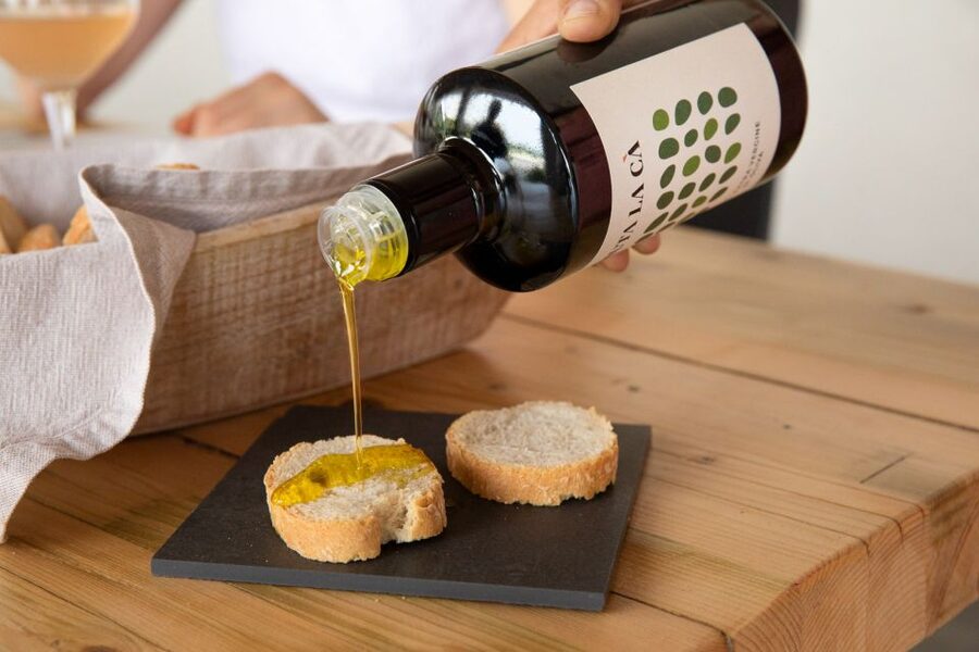 Bardolino: Vineyard Tour with Wine and Food Tasting - Is $53 a Fair Price?