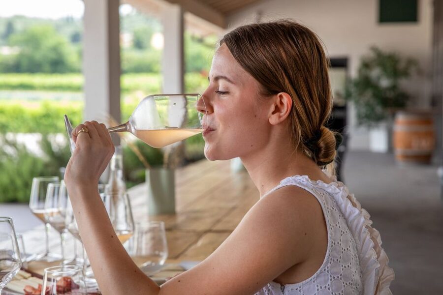 Bardolino: Vineyard Tour with Wine and Food Tasting - Practical Details Before You Book