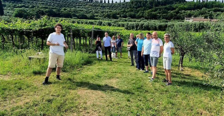 Bardolino: Vineyard Tour with Wine, Olive Oil & Food Tasting - A family winery on the Rocca del Garda