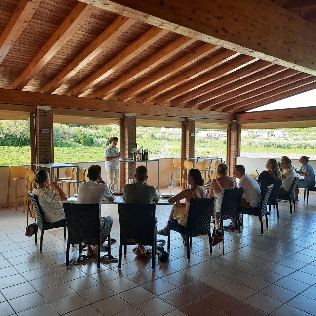 Bardolino: Vineyard Tour with Wine, Olive Oil & Food Tasting - What the short vineyard walk teaches you
