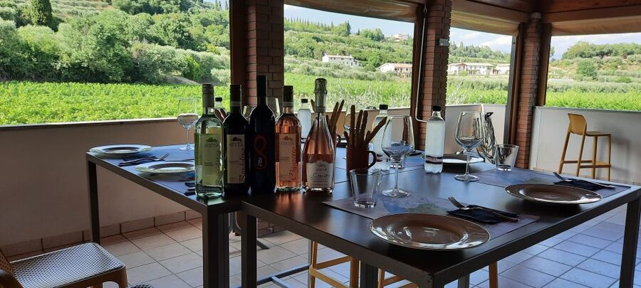 Bardolino: Vineyard Tour with Wine, Olive Oil & Food Tasting - Five wines, from sparkling rosé to white