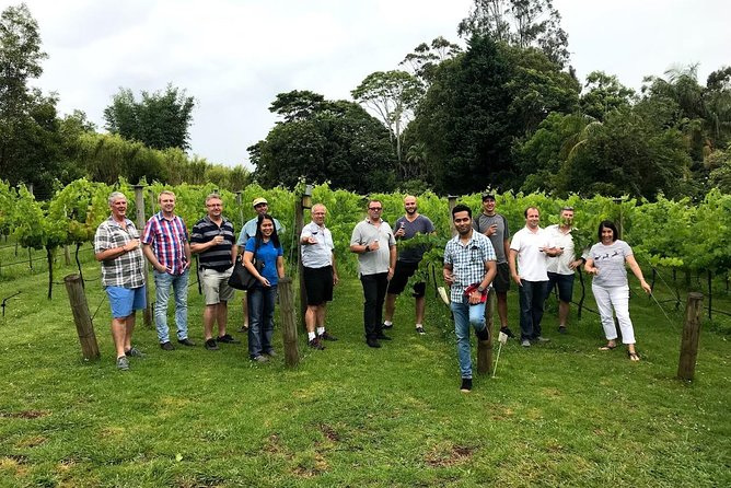 Barefoot Luxury Mount Tamborine Winery Tour from Brisbane - Why Mount Tamborine works as a day trip from Brisbane
