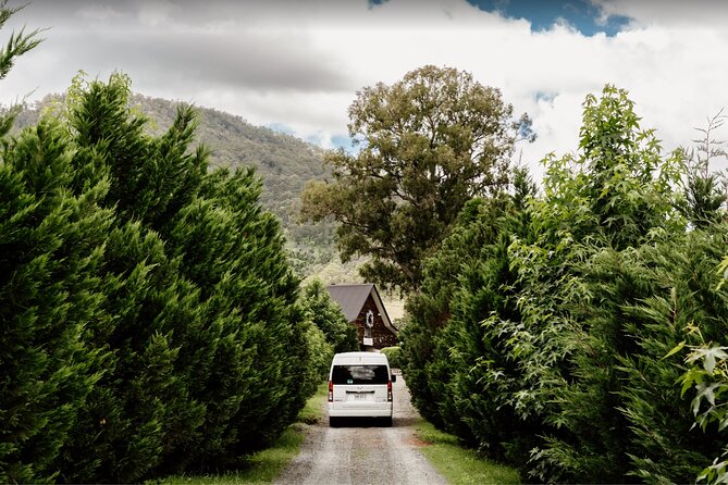 Barefoot Luxury Mount Tamborine Winery Tour from Brisbane - Witches Falls Winery and the first serious tasting