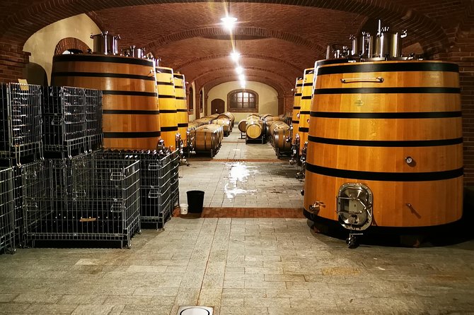 Barolo&Barbaresco Wine Experience with a local winemaker - Starting from Asti and heading into the Langhe