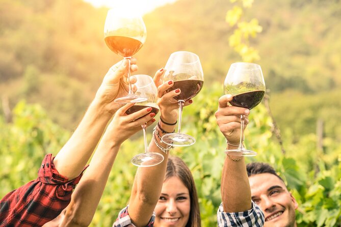 Barossa and Hahndorf Wine Tasting and Sightseeing Tour - Key points at a glance