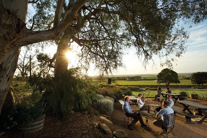 Barossa Valley Hop-On Hop-Off Wine Tour - Practical details that can save your day