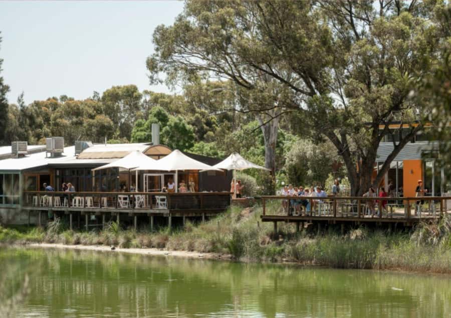 Barossa Valley: Maggie Beer's Wine Tasting & Cheese Platter - Arriving at Maggie Beer’s Farmshop