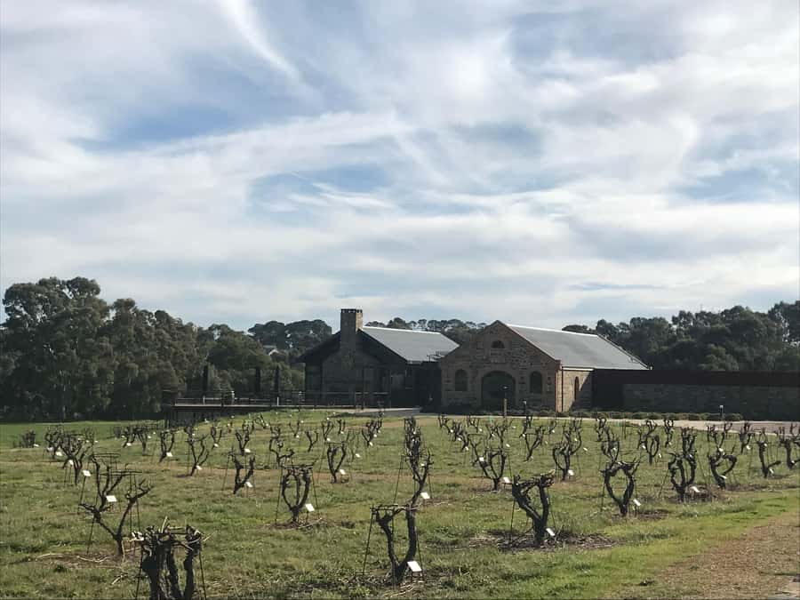 Barossa Valley: Small Group Wine Tour (Includes Lunch) - Why the guide matters more than the route
