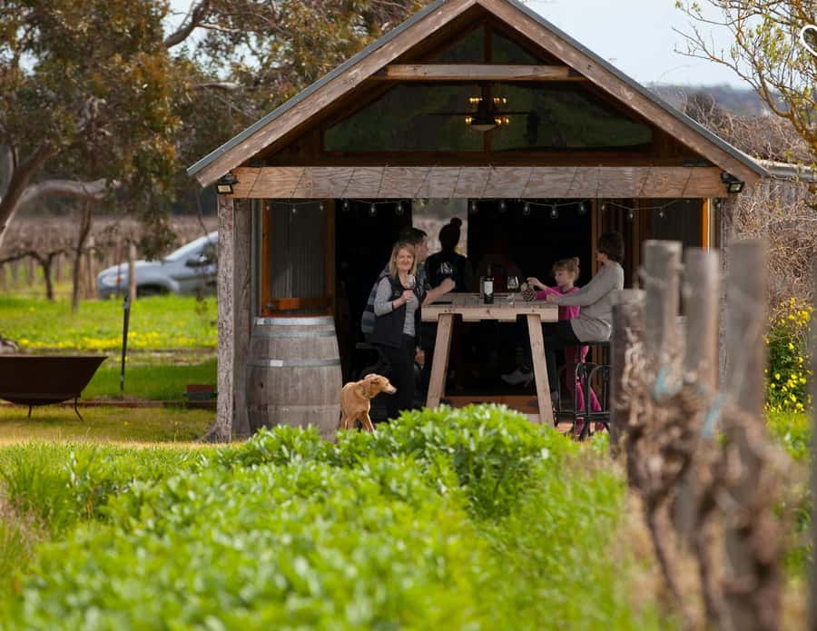 Barossa Wine Tour: Small Group 8 max, Rare, Unique, Premium - Boutique cellar doors and conversations with winemakers
