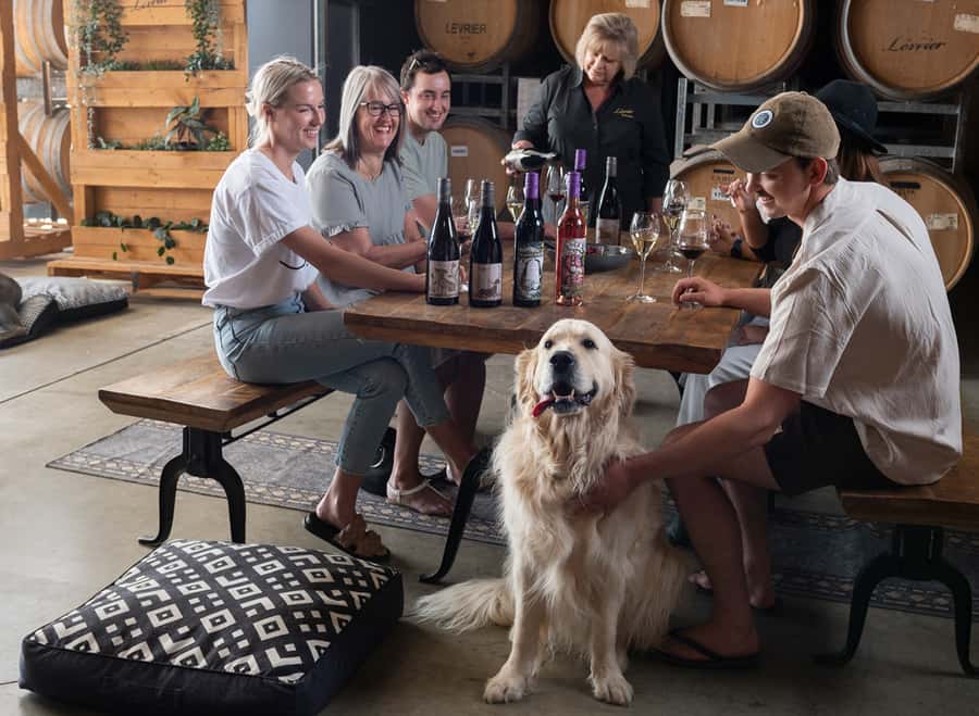 Barossa Wine Tour: Small Group 8 max, Rare, Unique, Premium - What the $182 price really covers