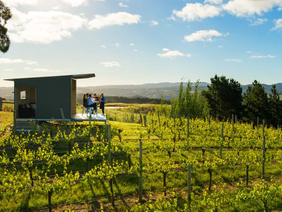 Barossa Wine Tour: Small Group 8 max, Rare, Unique, Premium - Starting with pickup from Adelaide or the Barossa