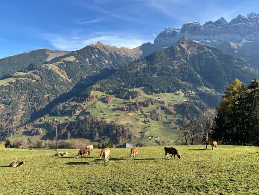 Basel: Local Cheese Tasting Tour with a Cheese Sommelier - Why this small Basel tasting is worth your time